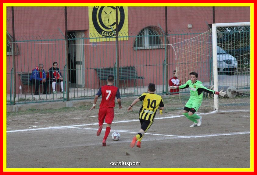 181111 Cepha_Milazzo 271_tn.JPG